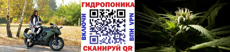 Конопля Bruce Banner  цена   Правдинск 